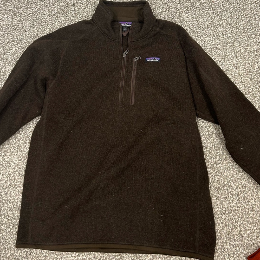 Patagonia Sweatshirt (like new)